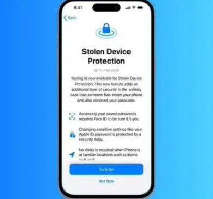 临湘苹果授权维修店分享被盗设备保护功能开启方法