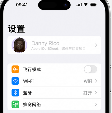 临湘appleID维修服务iPhone设置中Apple ID显示为灰色无法使用 