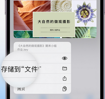 临湘apple维修中心分享iPhone文件应用中存储和找到下载文件