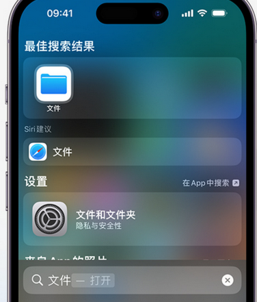 临湘apple维修中心分享iPhone文件应用中存储和找到下载文件