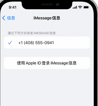 临湘apple维修iPhone上无法正常发送iMessage信息 