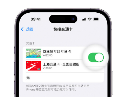 临湘apple维修点分享iPhone上更换Apple Pay快捷交通卡手绘卡面 