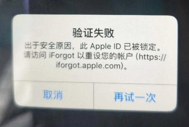 临湘iPhone维修分享iPhone上正常登录或使用AppleID怎么办 