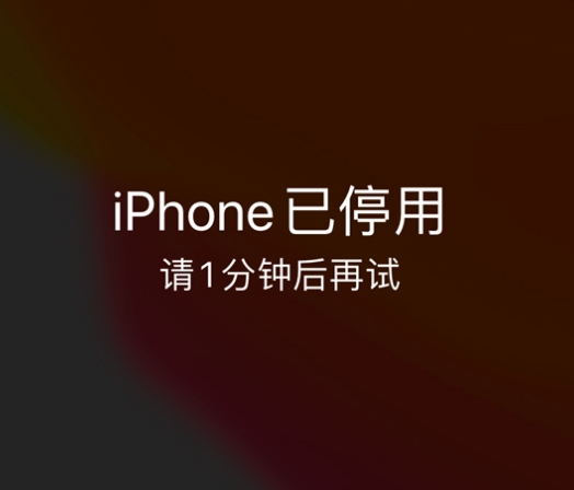 临湘苹果手机维修分享:iPhone 显示“不可用”或“已停用”怎么办？还能保留数据吗？ 