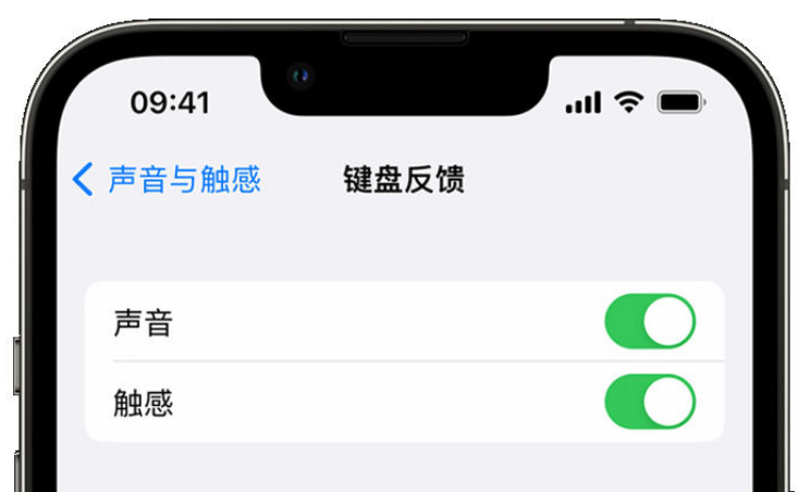 临湘苹果手机维修分享iPhone 14触感键盘使用方法 