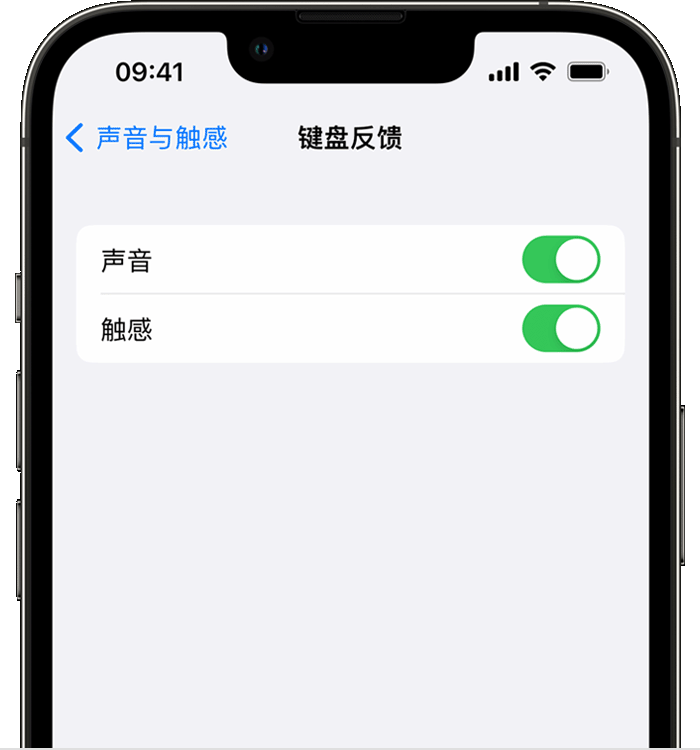 临湘苹果14维修店分享如何在 iPhone 14 机型中使用触感键盘 