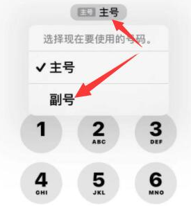 临湘苹果14维修店分享iPhone 14 Pro Max使用副卡打电话的方法 