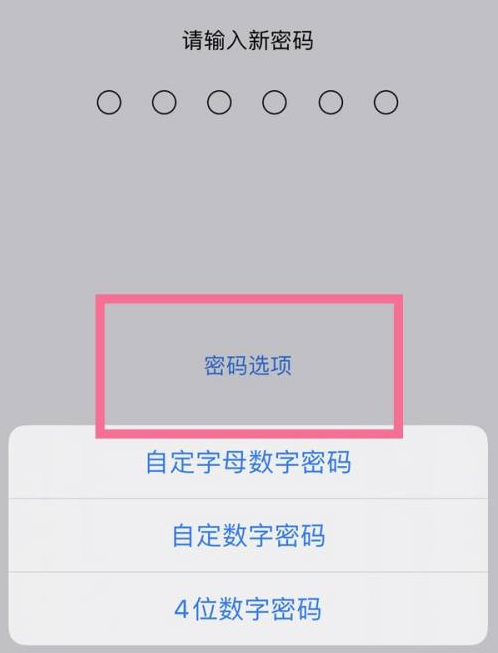 临湘苹果14维修分享iPhone 14plus设置密码的方法 