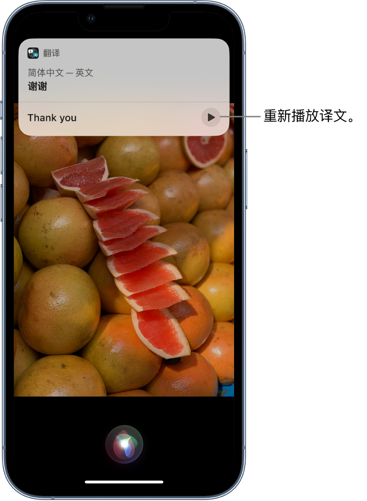 临湘苹果14维修分享 iPhone 14 机型中使用 Siri：了解 Siri 能帮你做什么 