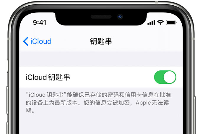 临湘苹果手机维修分享在 iPhone 上开启 iCloud 钥匙串之后会储存哪些信息 