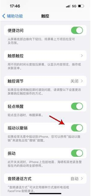 临湘苹果手机维修分享iPhone手机如何设置摇一摇删除文字 