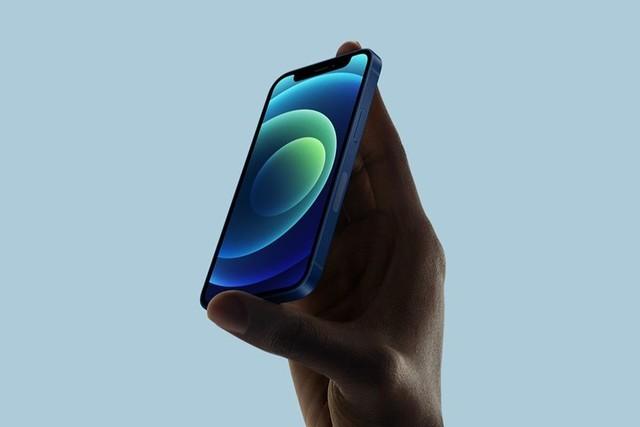 临湘苹果手机维修分享iPhone 12 mini辐射很大吗 